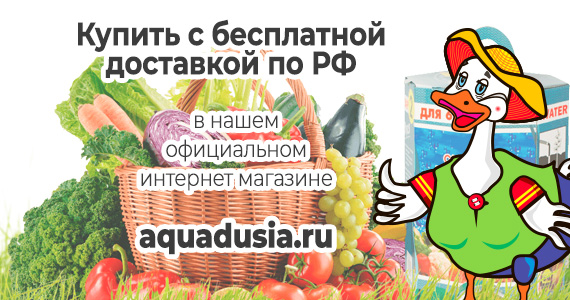 Перенос онлайн-магазина на сайт aquadusia.ru